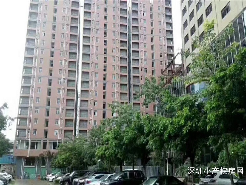 龙华村委统建楼出售《富莱花园》最佳性价比楼盘，投资第一选择